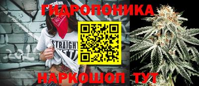 стафф Малгобек
